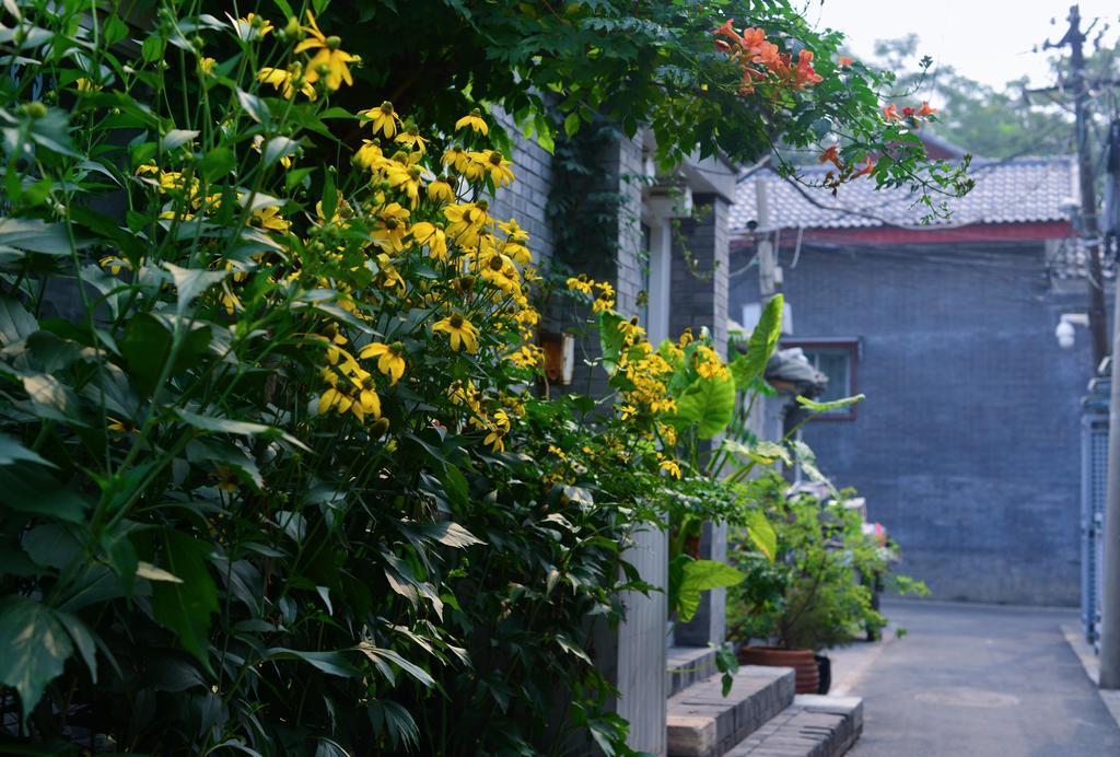 Peking Garden Boutique Hotel Exterior foto