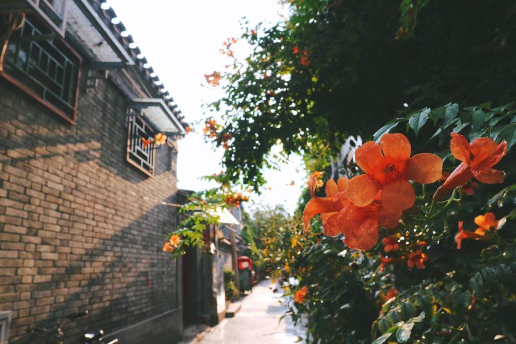 Peking Garden Boutique Hotel Exterior foto