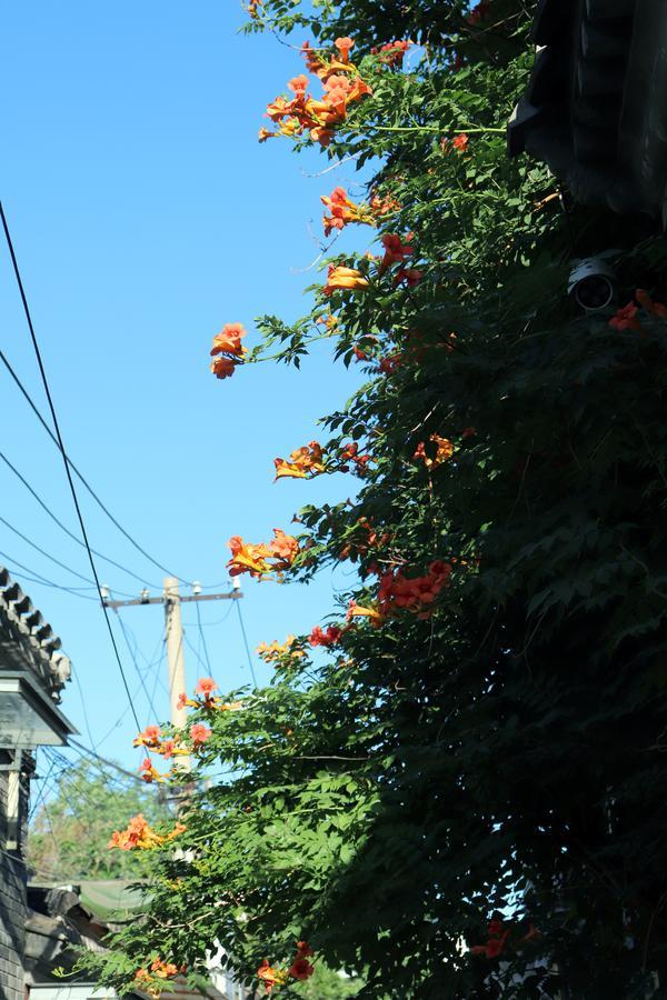 Peking Garden Boutique Hotel Exterior foto